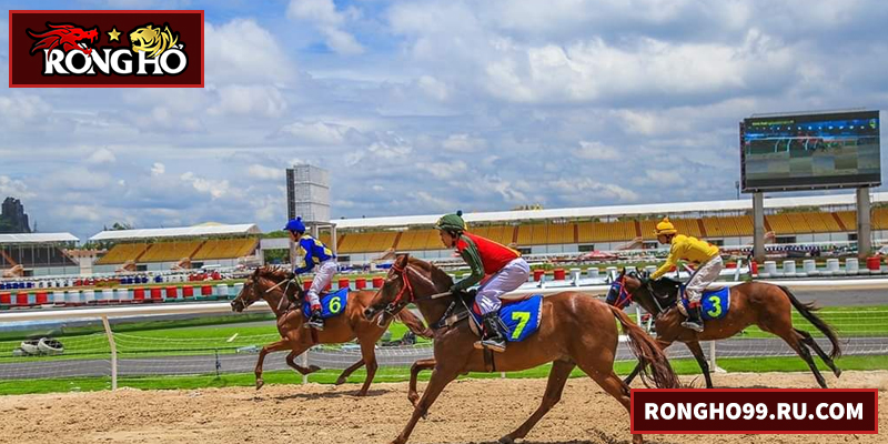 Đua Ngựa – Hướng dẫn cược, chiến lược và mẹo hiệu quả