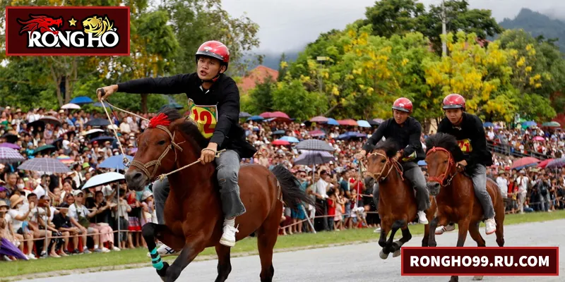 Đua Ngựa – Hướng Dẫn Chi Tiết Cho Người Mới Và Kinh Nghiệm