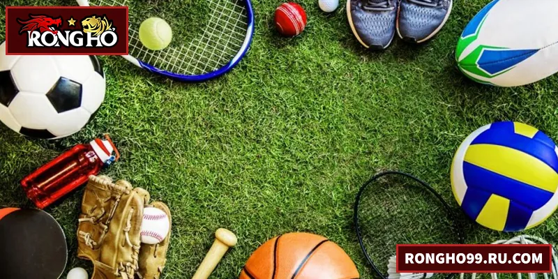 Thể Thao RONGHO99 – Sảnh Cá Cược Hiệu Quả